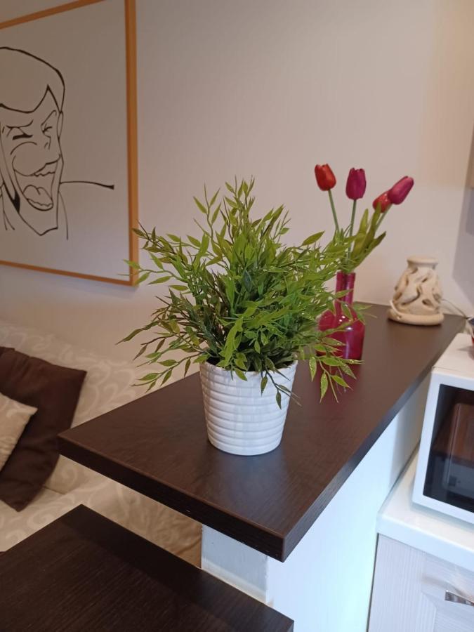 Portonhouse Apartment Rome Bagian luar foto